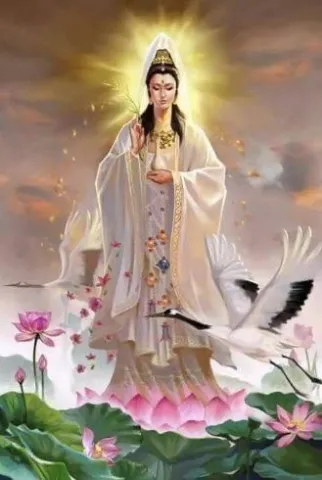 magnified_healing-pic